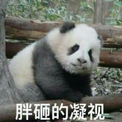 熊猫团子带字微信QQ表情包