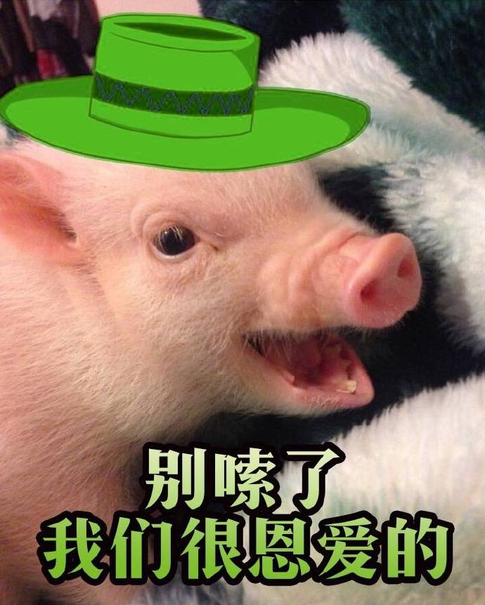 绿帽猪微信QQ表情包