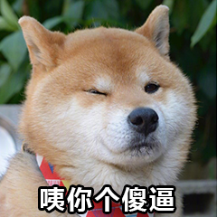 柴犬表情包 柴犬搞笑表情包图片（1）